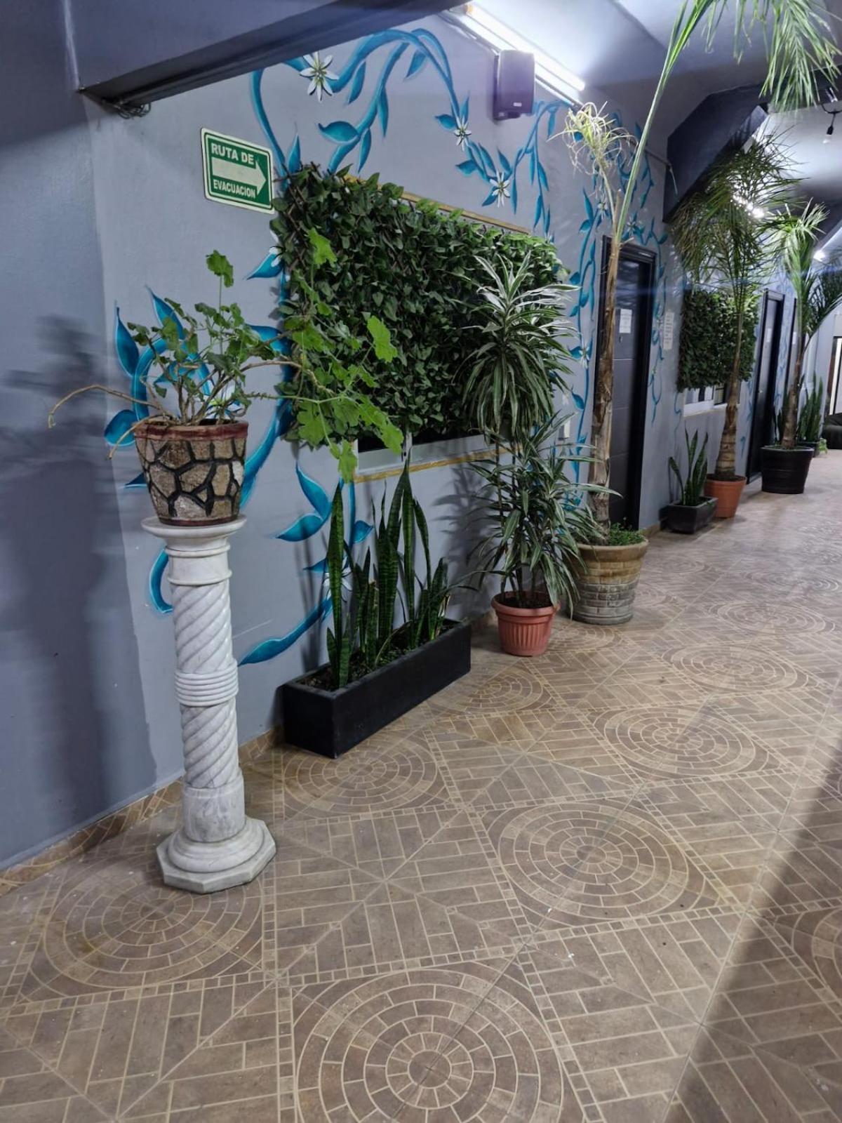 Hostal Mictlan — Photos 2